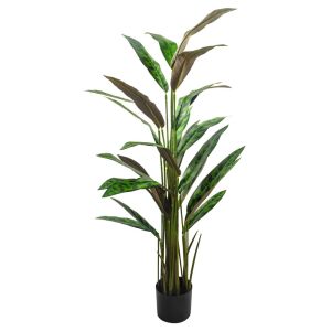 Calatea Artificial Planta con Maceta Base